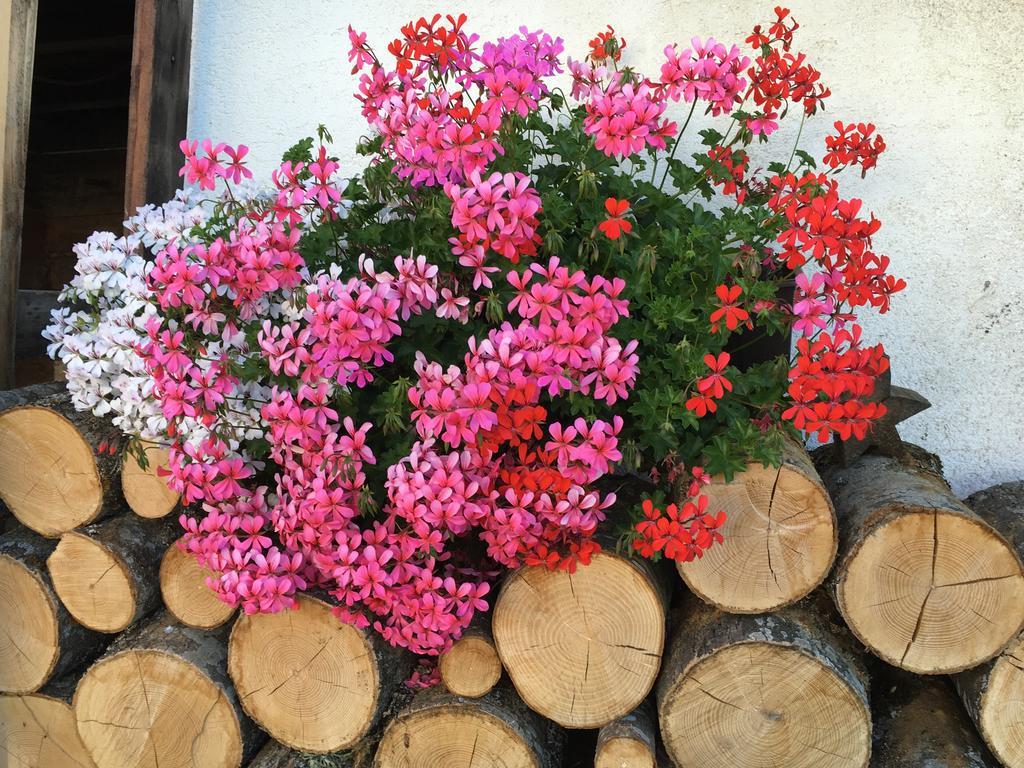 Gasthof Patz